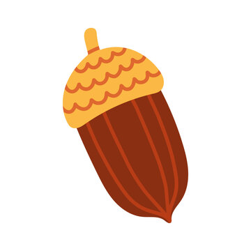 Elongated acorn vector illustration with bright yellow patterned cap. Flat autumn forest seed clipart isolated on white background for fall graphic elements