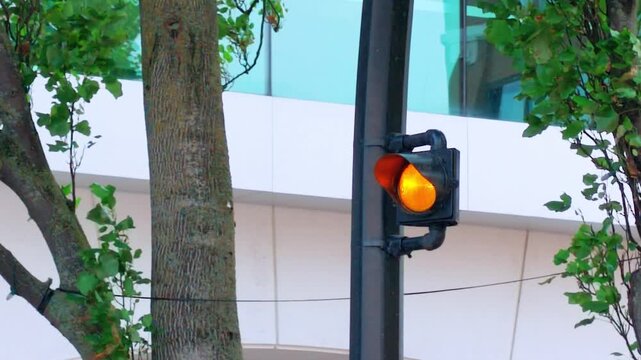 Yellow Amber Traffic Light Lit on Pole Near Street Trees
