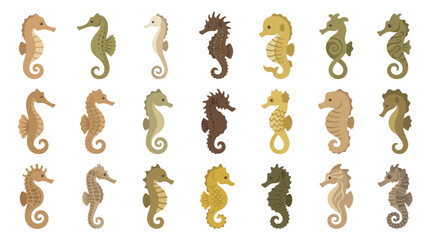 Set of colorful seahorse icons isolated on a white background. © Pink