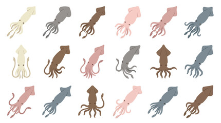 Obraz premium Set of colorful squid illustrations isolated on a white background.