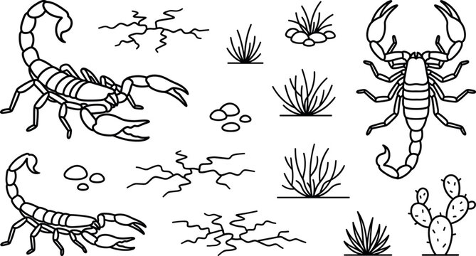 Desert scorpion icon set with arachnids cactus dry ground cracks and tumbleweed shrubs vector line art illustration