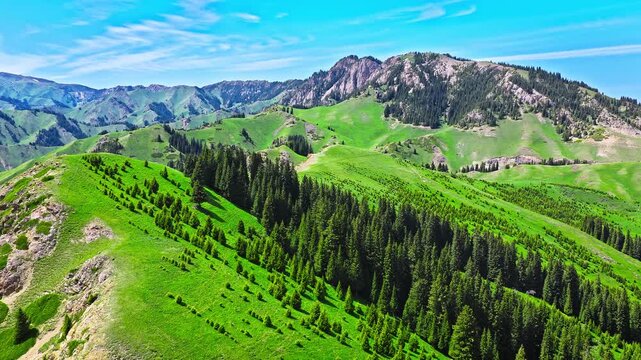Aerial view of rolling green hills and mountain ridges under a clear blue sky in Xinjiang, China