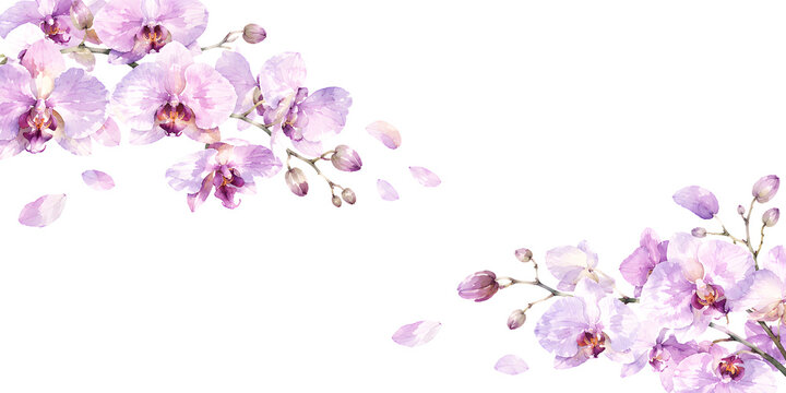 淡いオーキッドパープルの胡蝶蘭が対角線状に散らばる水彩背景 / Pale Orchid Purple Diagonal Scatter Watercolor Background