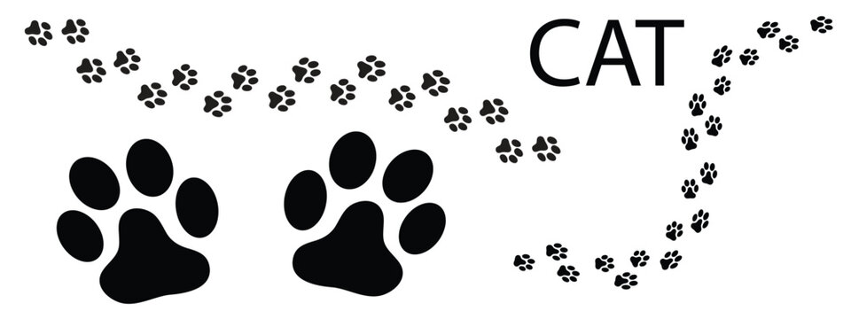 Cat Paw Print Track and Footprint Vector Set, Domestic Pet Animal Trail Pattern.eps