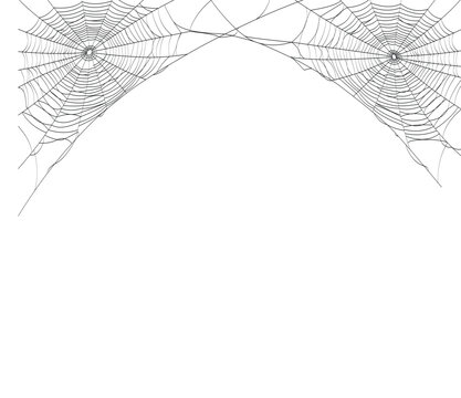 Two spider webs in top corners isolated on white background