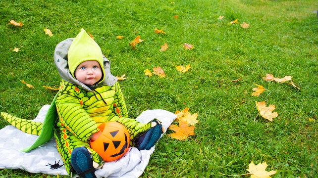 Cute 9 months old baby boy in green dragon costume sitting on grass on Halloween