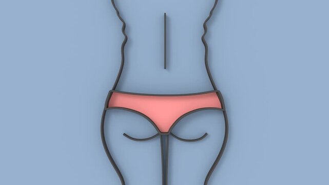 Line drawing of a female figure with two contours: a wider outer and a slimmer inner one. It shows weight loss, slimming, diet results, fitness, body transformation, health, beauty and self-care.