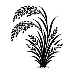 Obraz premium Black silhouette of rice plant with long stems and leaves on white background