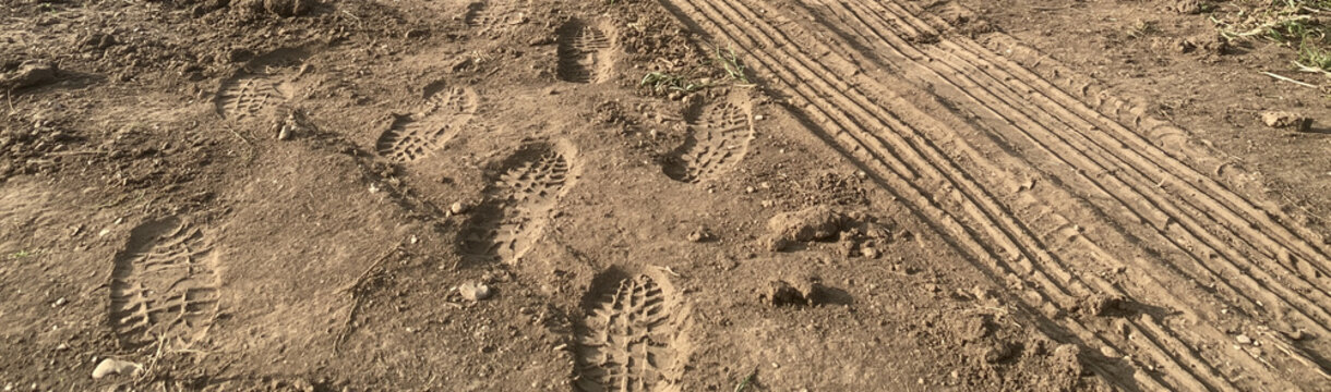 Footprints in the Mud: A close-up view reveals multiple boot prints imprinted in wet mud, alongside parallel tracks possibly from a vehicle or tool, hinting at past activity and movement.
