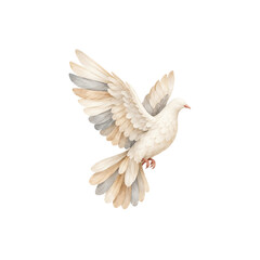 Fototapeta premium Delicate watercolor illustration of a white dove flying with outstretched wings, isolated on a white background.