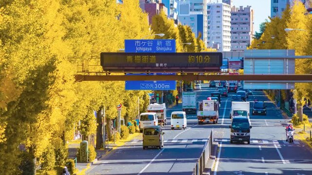 A timelapse of traffic jam at the yellow gingko street in Tokyo tilt