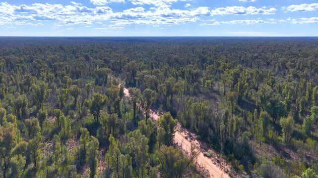 Aerial View of Vast Australian Bushland and Dirt Track