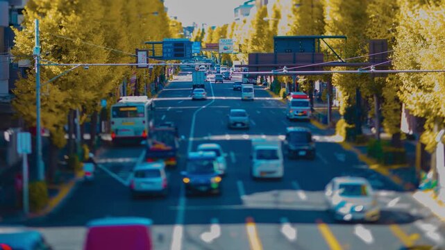 A timelapse of miniature traffic jam at the yellow gingko street in Tokyo