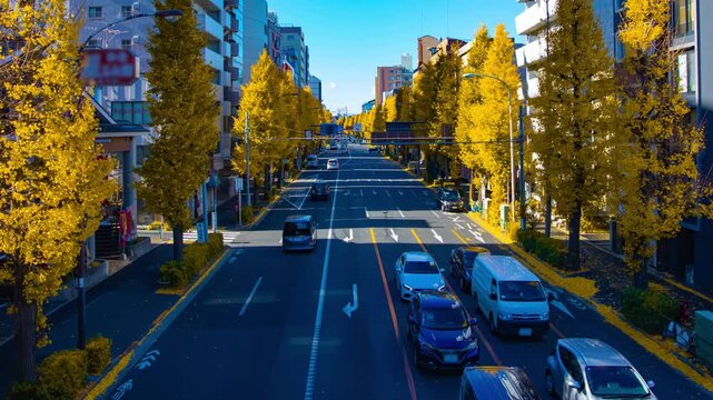 A timelapse of traffic jam at the yellow gingko street in Tokyo wide shot panning