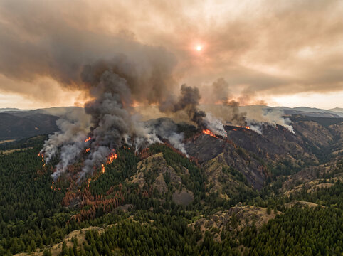 High Angle Landscape Photography Displaying Raging Mountain Bushfire Consuming Ridge Forests in Pine Green and Ash Grey for Environmental News Articles