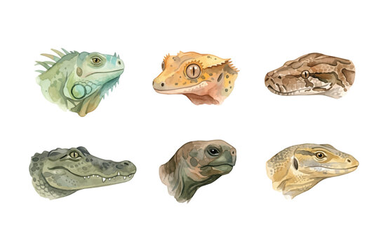 Watercolor Reptile Head Icons Set, Exotic Wildlife Animals Isolated