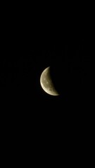 the waning moon © oswaldo