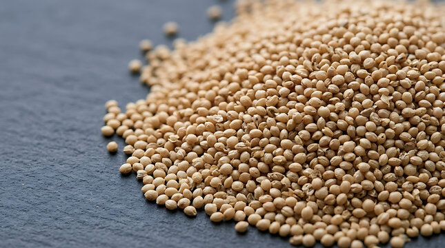 Heap of tiny amaranth seeds on dark slate background, macro shot