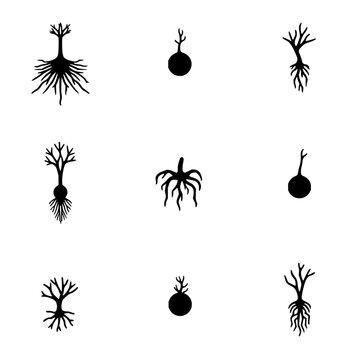 Tree roots illustrations set with a 3x3 grid of minimalist vector drawings showing varied root structures extending from a central trunk,