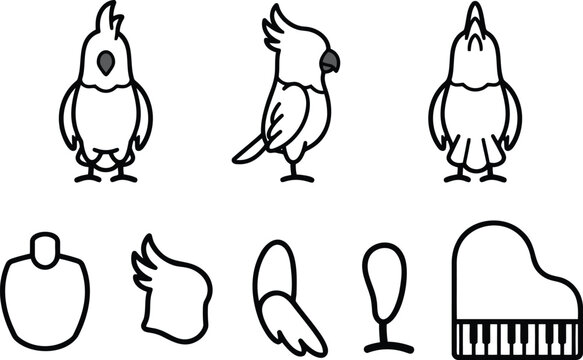 Parrots Set with Various Poses and Parts, Including Wing and Head Outlines