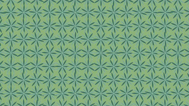 Rang&eacute;es d&rsquo;agaves vues du ciel dans un paysage ensoleill&eacute; inspir&eacute; du Mexique