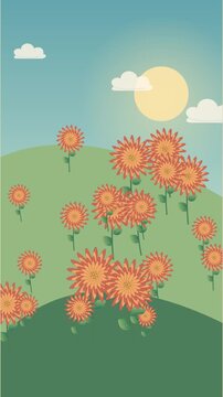 Chrysanth&egrave;mes orange et rouges aux p&eacute;tales superpos&eacute;s dans un jardin