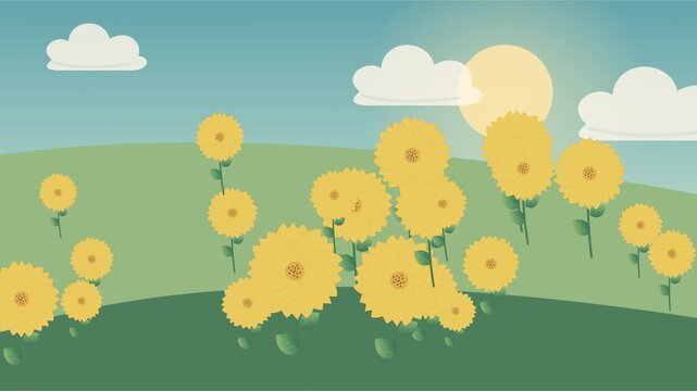 Fleurs de cosmos jaunes ondulant dans une prairie ensoleill&eacute;e
