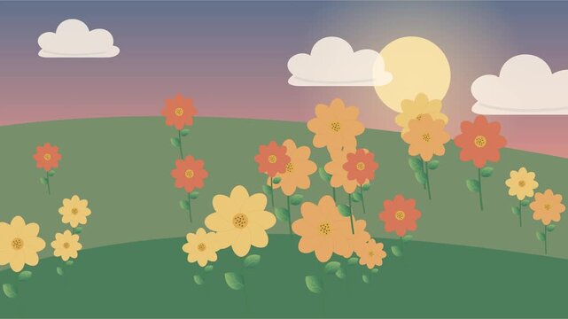 Prairie de fleurs color&eacute;es ondulant sous un ciel de coucher de soleil lumineux
