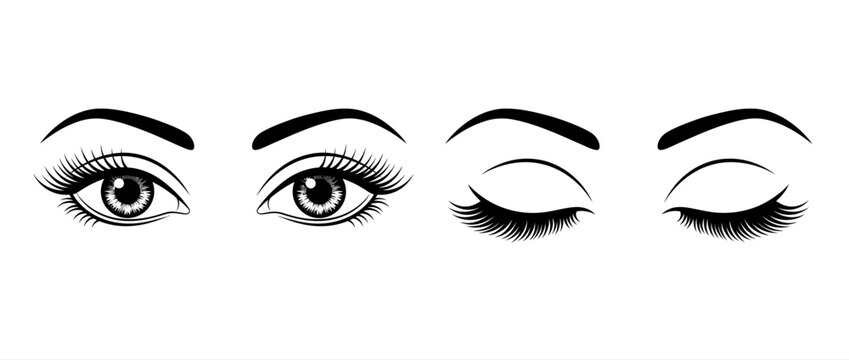 Woman eyes with long eyelashes and eyebrows vector set