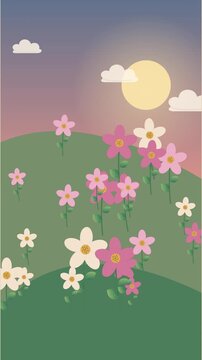 Fleurs roses inspir&eacute;es du quisqualis dans une douce lumi&egrave;re de coucher du soleil
