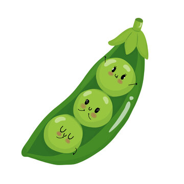 Cute green pea pod character with cute faces vector illustration