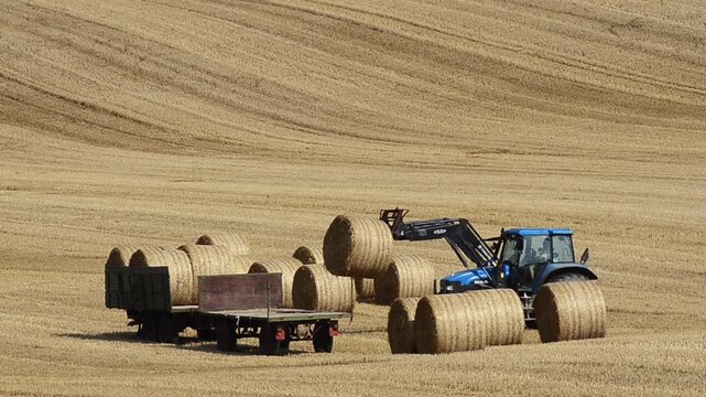 Tractor loading straw bales on a wagon at Ystad, Scania, Sweden, Scandinavia