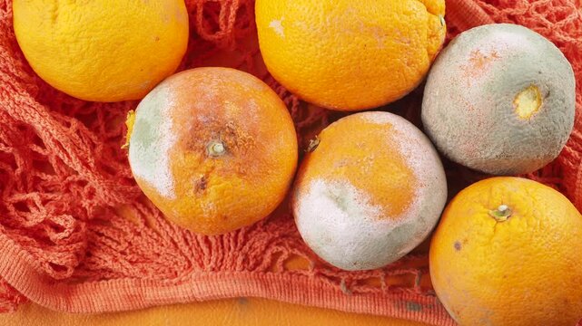 Oranges showing signs of mold on a bright orange cloth
