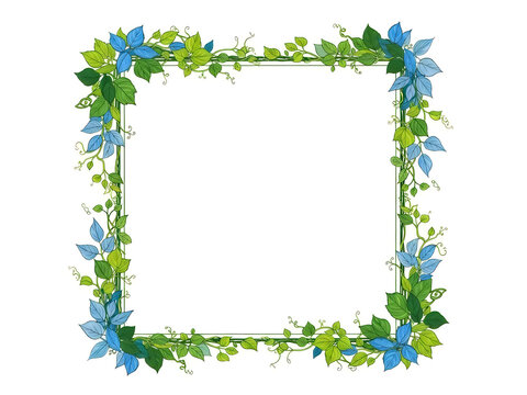Decorative ivy vine border frame with leaves