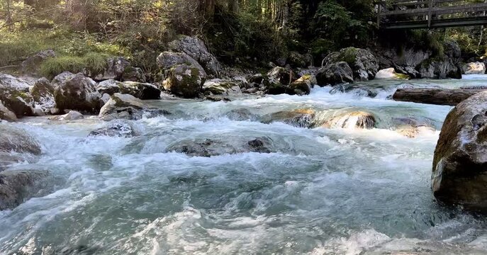 The Ramsauer Ache in the magical forest at Hintersee, Berchtesgadener Land, Bavaria, Germany