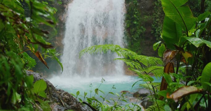 Costa Rica waterfall framed by lush green plants in tropical forest during the rain