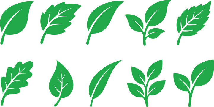 Green leaf vector set featuring diverse natural foliage shapes for eco friendly branding design.