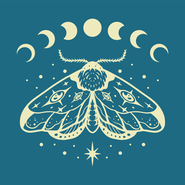Mystical moth illustration with moon phases and stars