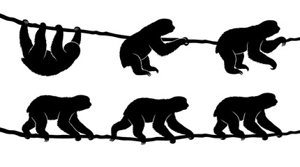 Fototapeta premium Black silhouettes of sloths hanging and climbing on ropes.