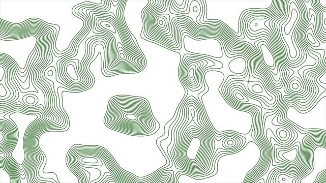 Topographic map background in vector format, seamless contour lines representing elevation terrain relief isolated on white background