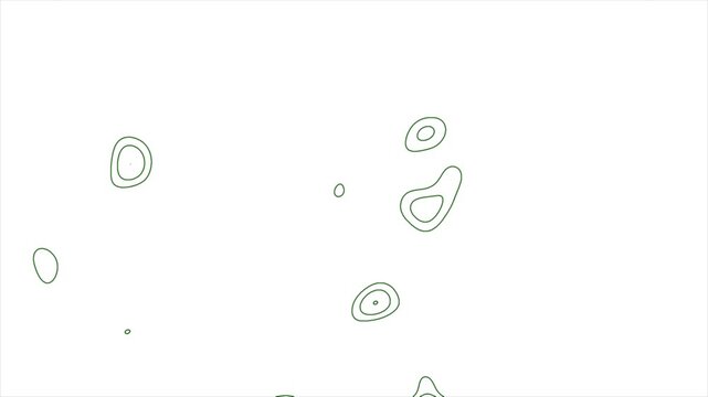 Minimalist green topography contour lines map pattern background, isolated on white background