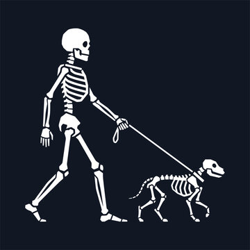 Human skeleton walking a skeleton dog on a leash