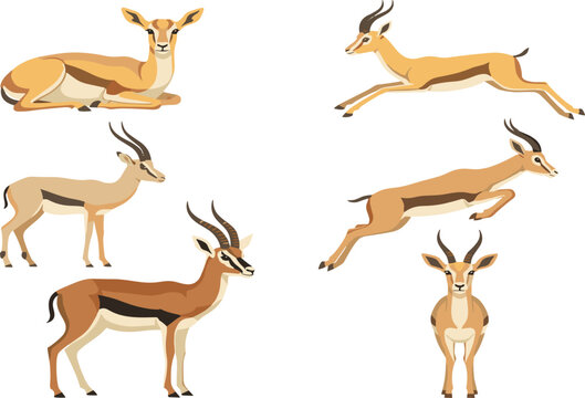 Gazelle and antelope vector illustration set featuring graceful african wildlife animals in running jumping standing and resting poses