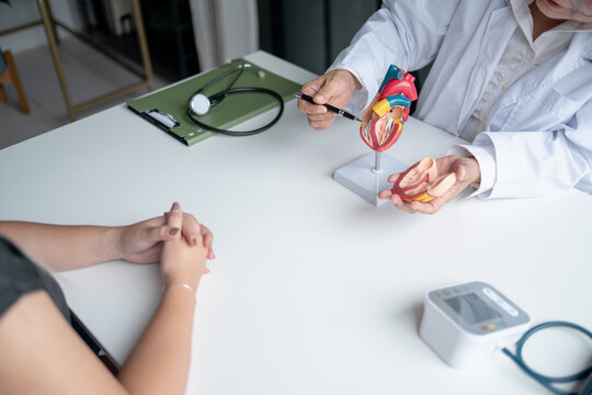 Cardiologist explaining heart disease using anatomical heart model during consultation with patient at medical clinic.