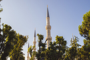 Beautiful view of Blue mosque minarets in Istanbul, Turkey, framed by lush greenery and warm daylight. Urban travel background for religion, architecture and tourism themes. © Dasha Lapshina