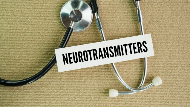 Stethoscope and paper tag with the word Neurotransmitters are the body's chemical messengers that transmit signals from nerve cells neurons to target cells across a synapse.