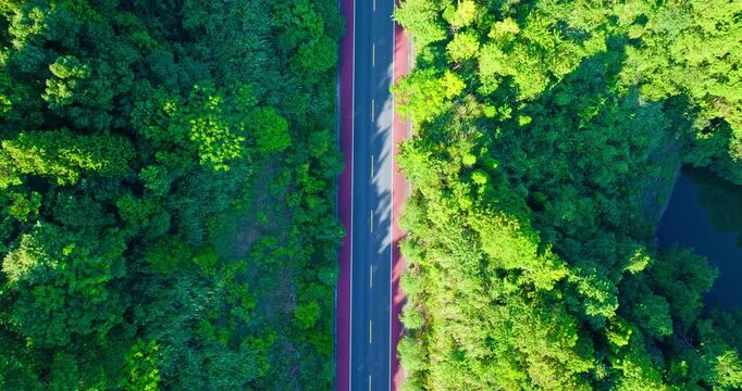 Aerial view of a straight paved road flanked by red shoulders cutting through a dense green forest under bright sunlight.