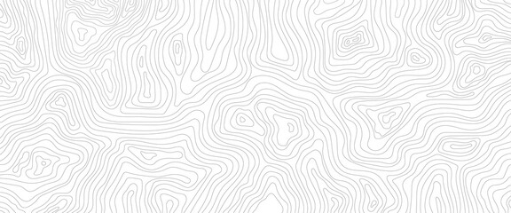 Seamless pattern with lines White wave paper curved reliefs abstract background, Abstract topographic contours map background. Abstract black and white topographic contours lines of mountains. © Musdalifah