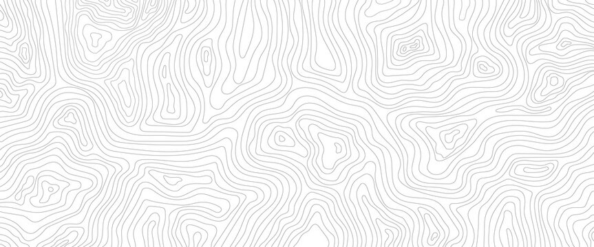 Seamless pattern with lines White wave paper curved reliefs abstract background, Abstract topographic contours map background. Abstract black and white topographic contours lines of mountains.