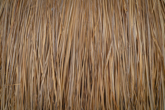 Close-up of a traditional thatched roof made from dry grass fibers, showing dense vertical strands and a warm natural brown texture.